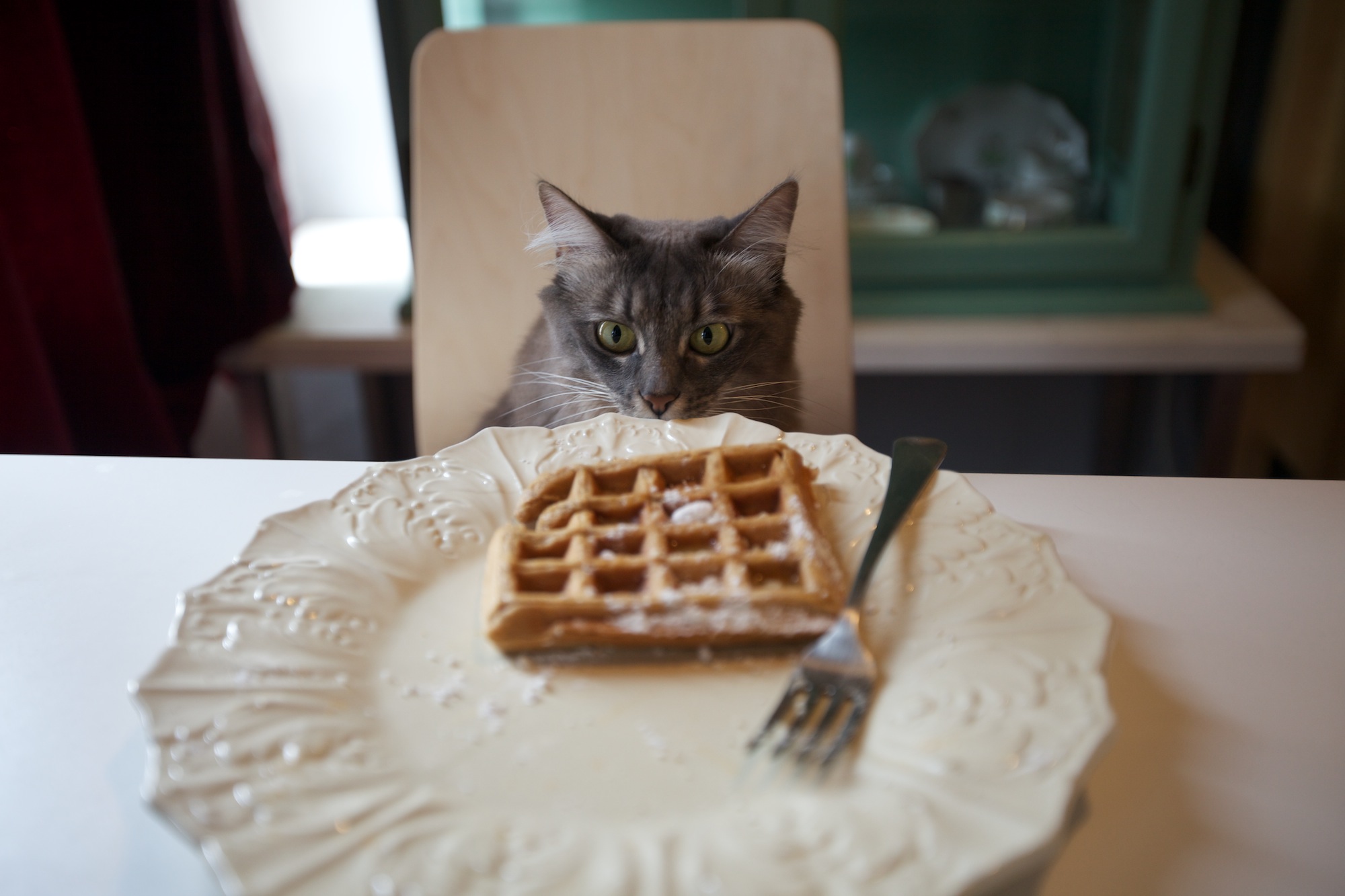 Happy Cat Meme Waffle.